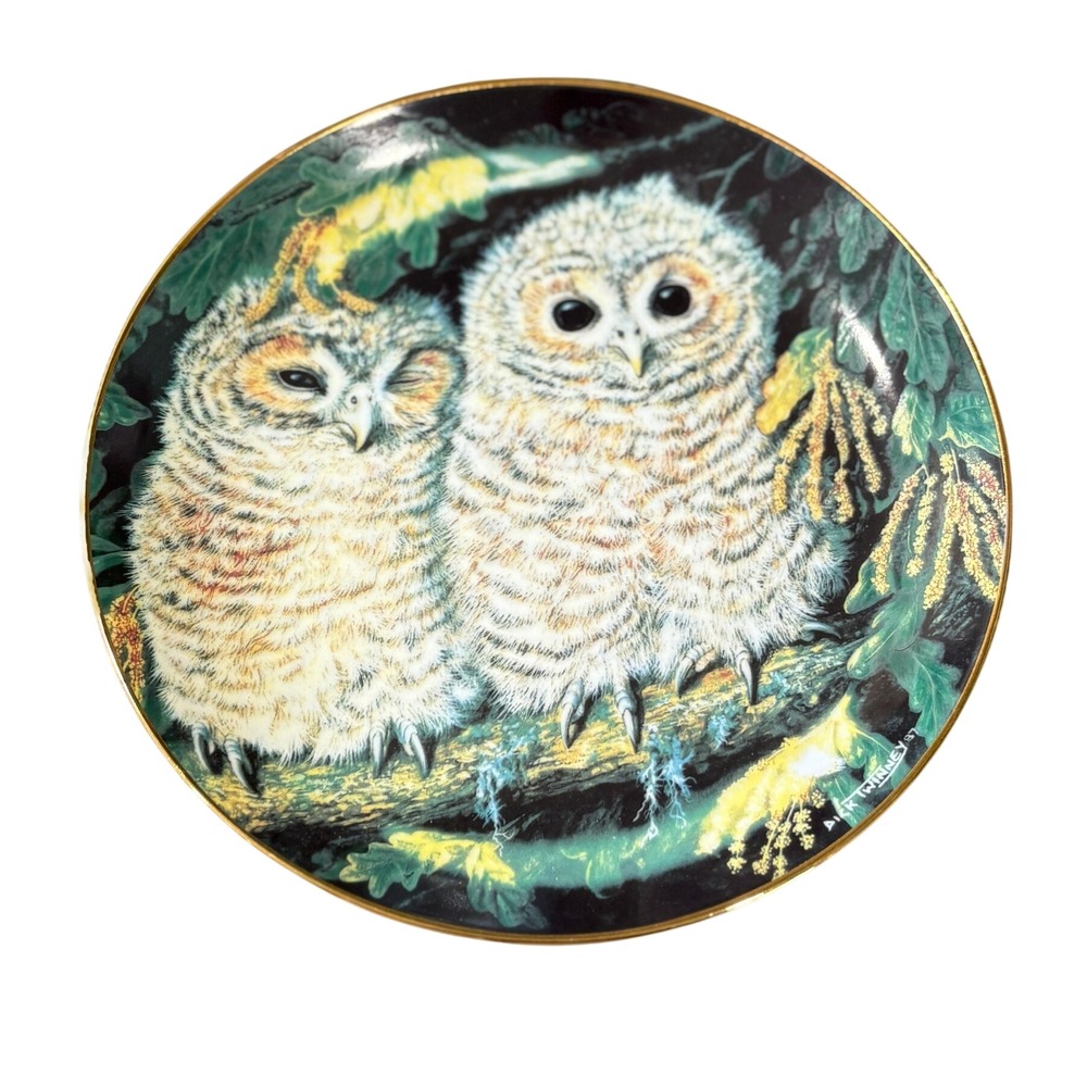 Danbury Mint Tawny Owls Collector Plate Dick Twinney Baby Owls 1988 Gold Rim 8"